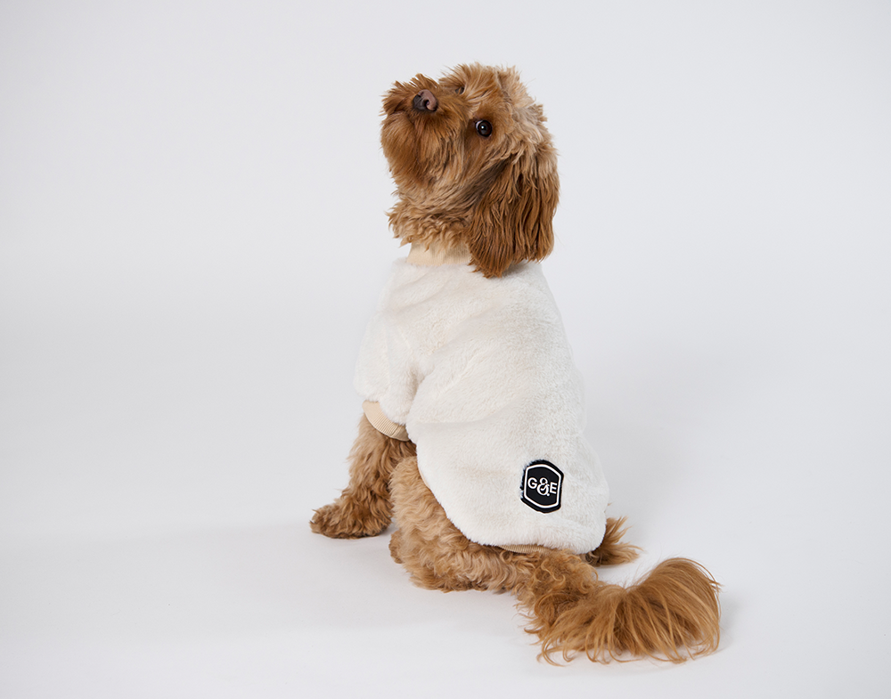 20545, 20546, 20547, 20548, 20549.png