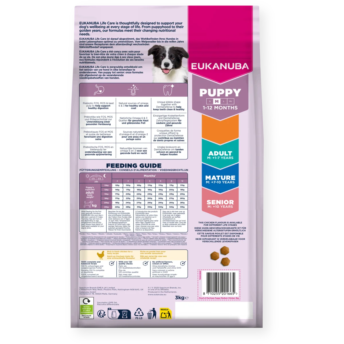 Dog Puppy Medium Breed Kyckling back.png