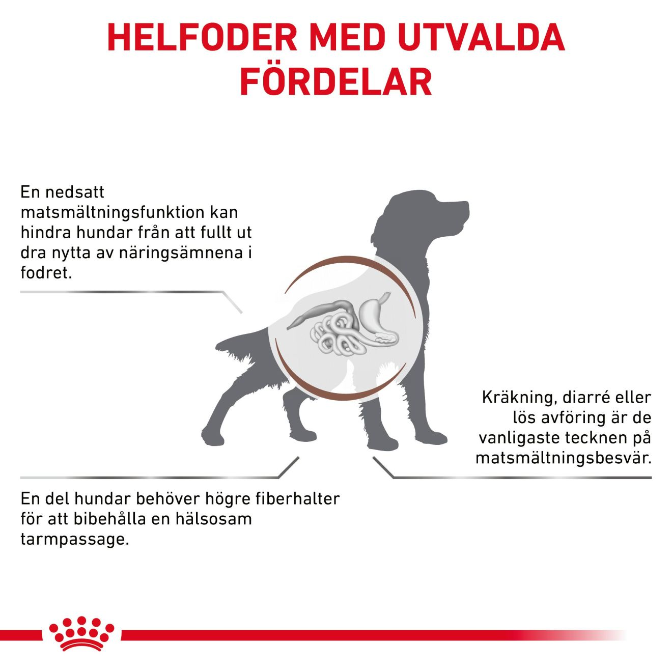 Gastrointestinal High Fibre Loaf Can