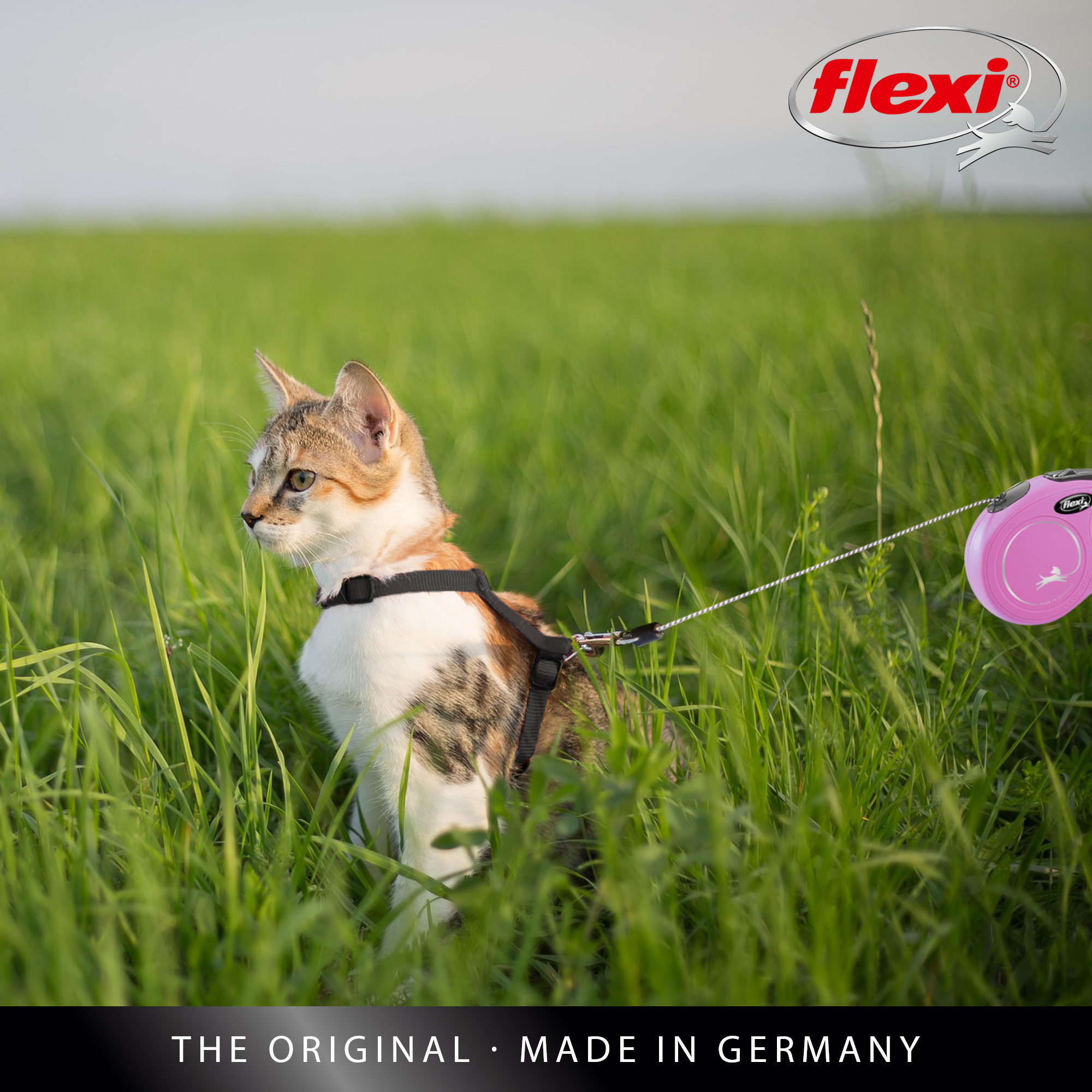 Flexi Rullebånd New Classic Cat Cord, 3m, XS, maks 8 kg, rød | ZOO.no