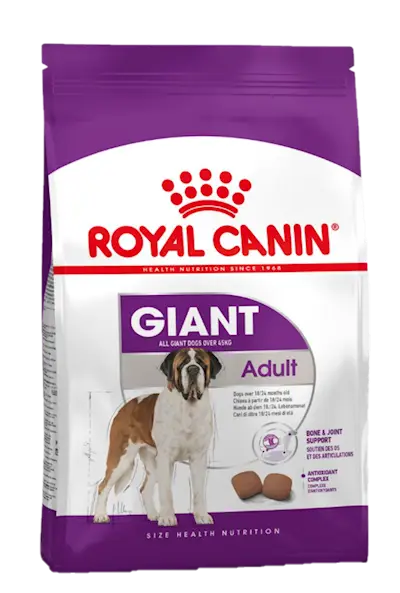 Giant Adult Tørrfôr til hund