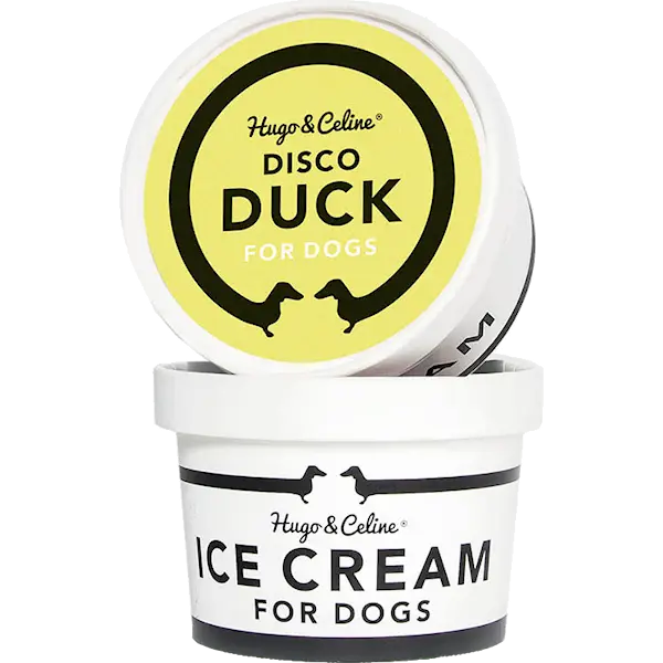 Ice Cream Disco Duck 120 g