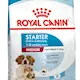 Royal Canin Medium Starter koiranpennun kuivaruoka