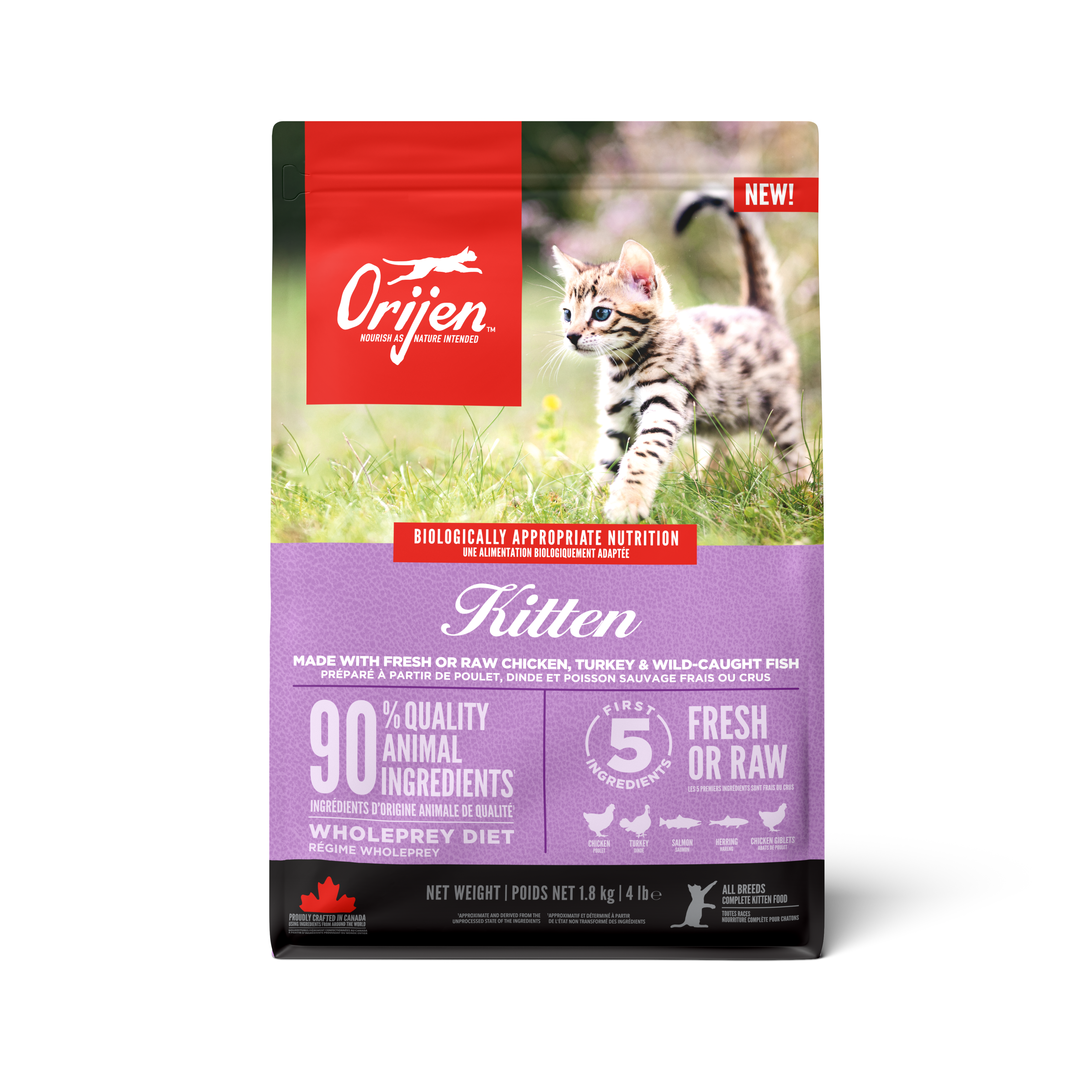 Orijen Cat Kitten