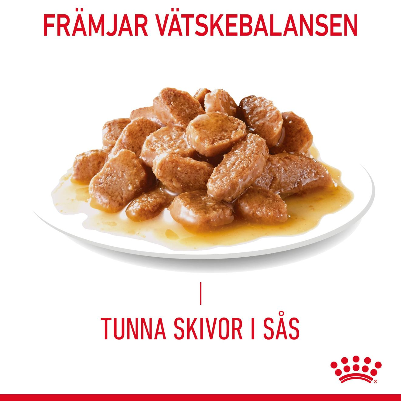 Digestive Care Gravy Adult