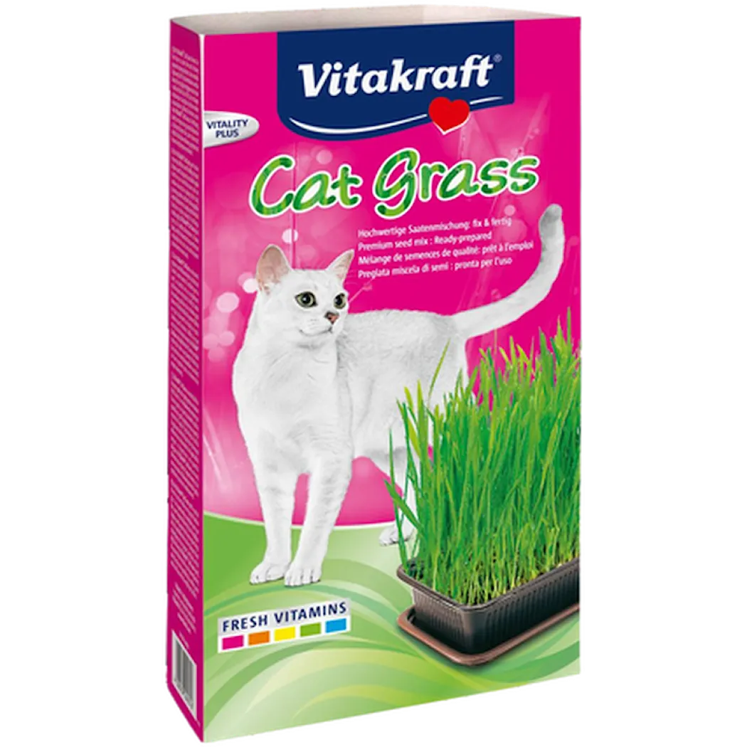 Kattgräs med Groddlåda 120 g