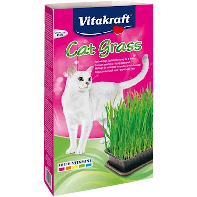 Kattgräs med Groddlåda