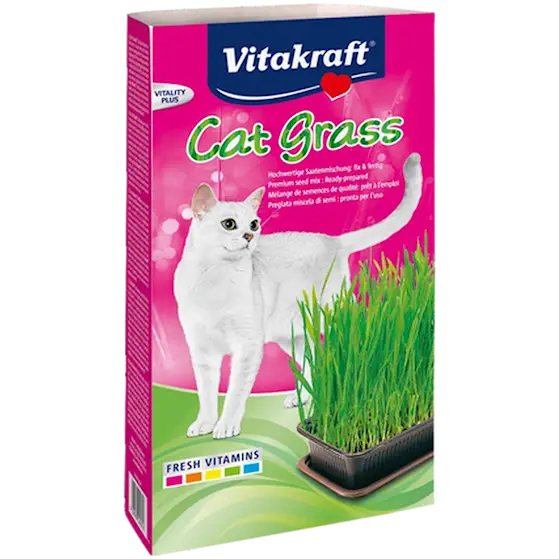 Kattgräs med Groddlåda Pink 120 g