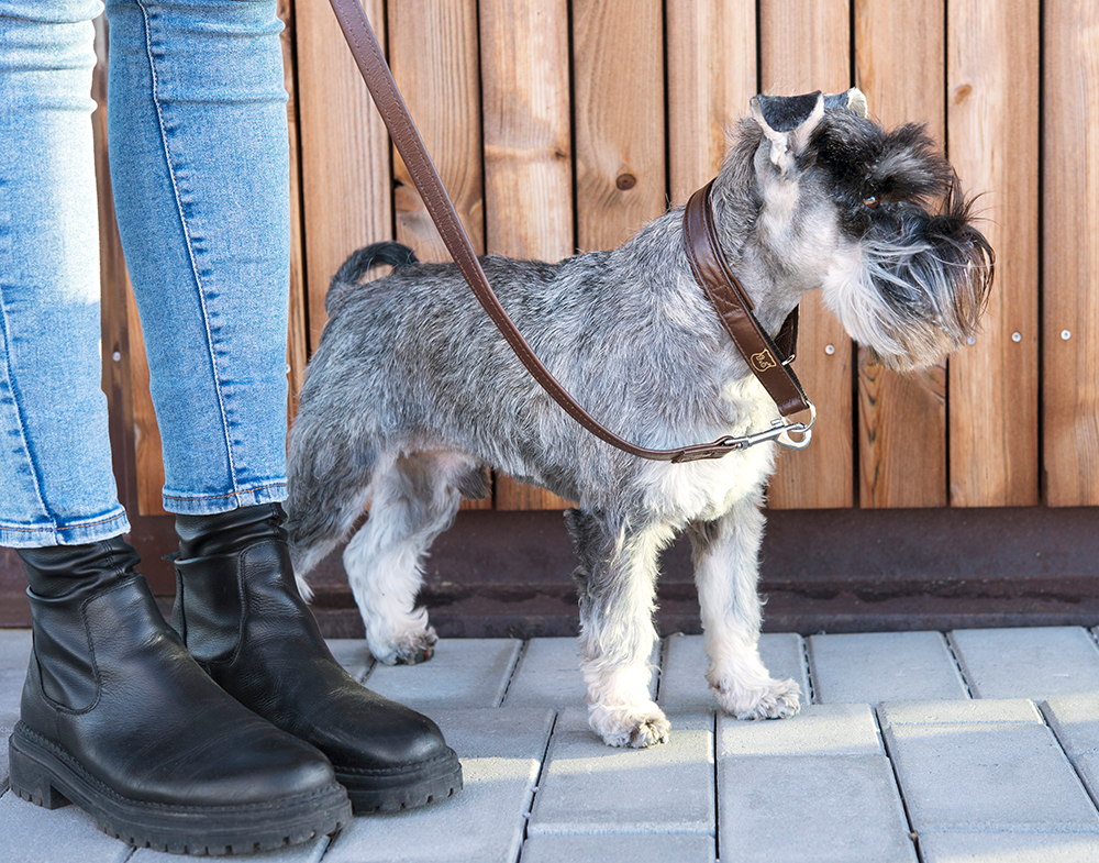 GE 210520, GE 210525, GE 210527, GE 210530, GE2105