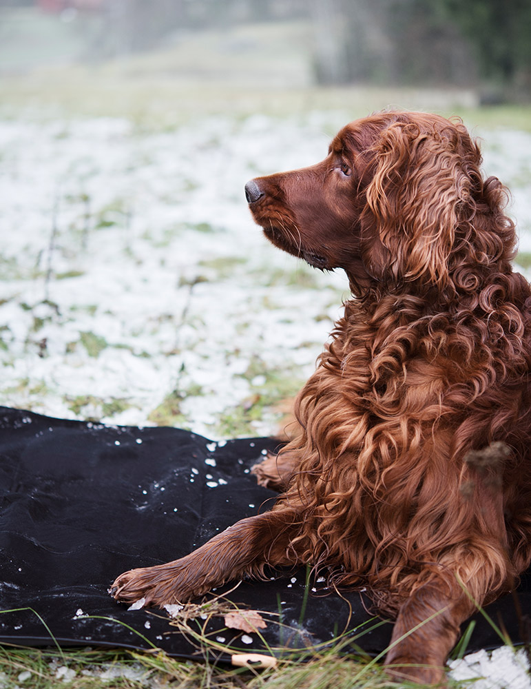 4256, 4257, 4258.jpg