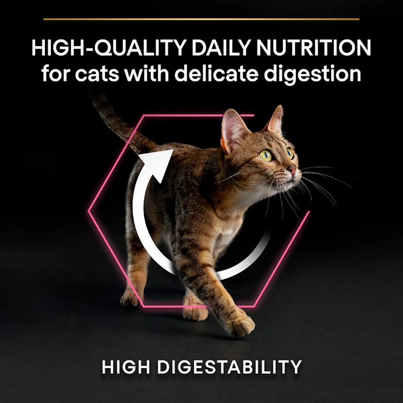 5. PROPLAN CAT DELICATE DIGESTION HIGH QUALITY NUT