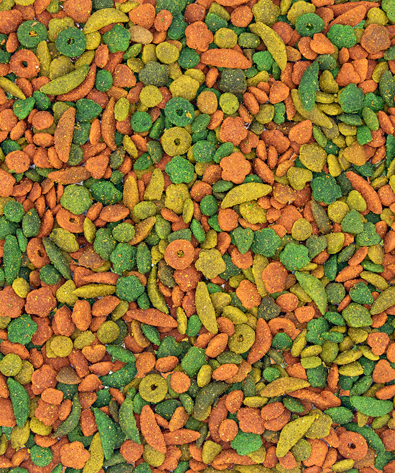 verselelaga_nutribird_p19_original_pellets_allinon