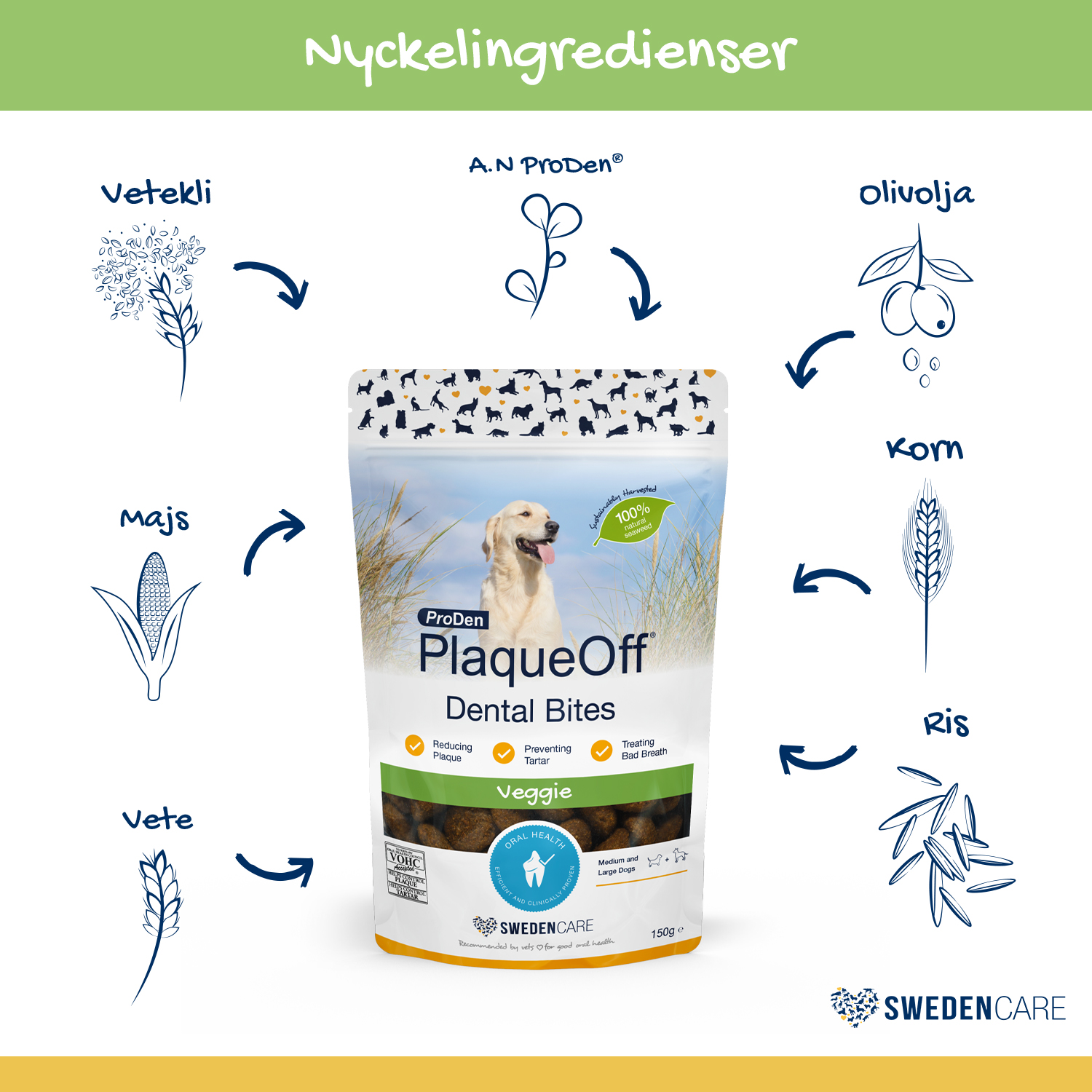 Swedencare_ProDen_PlaqueOff_Dental_Bites_150G_Vegg