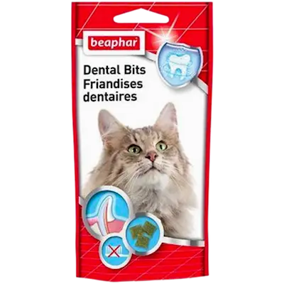 Dental Bits for Cats
