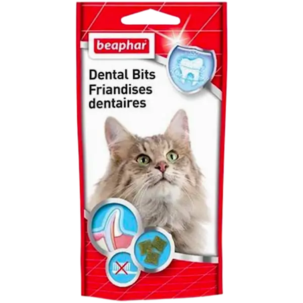 Dental Bits for katter 5 stk.