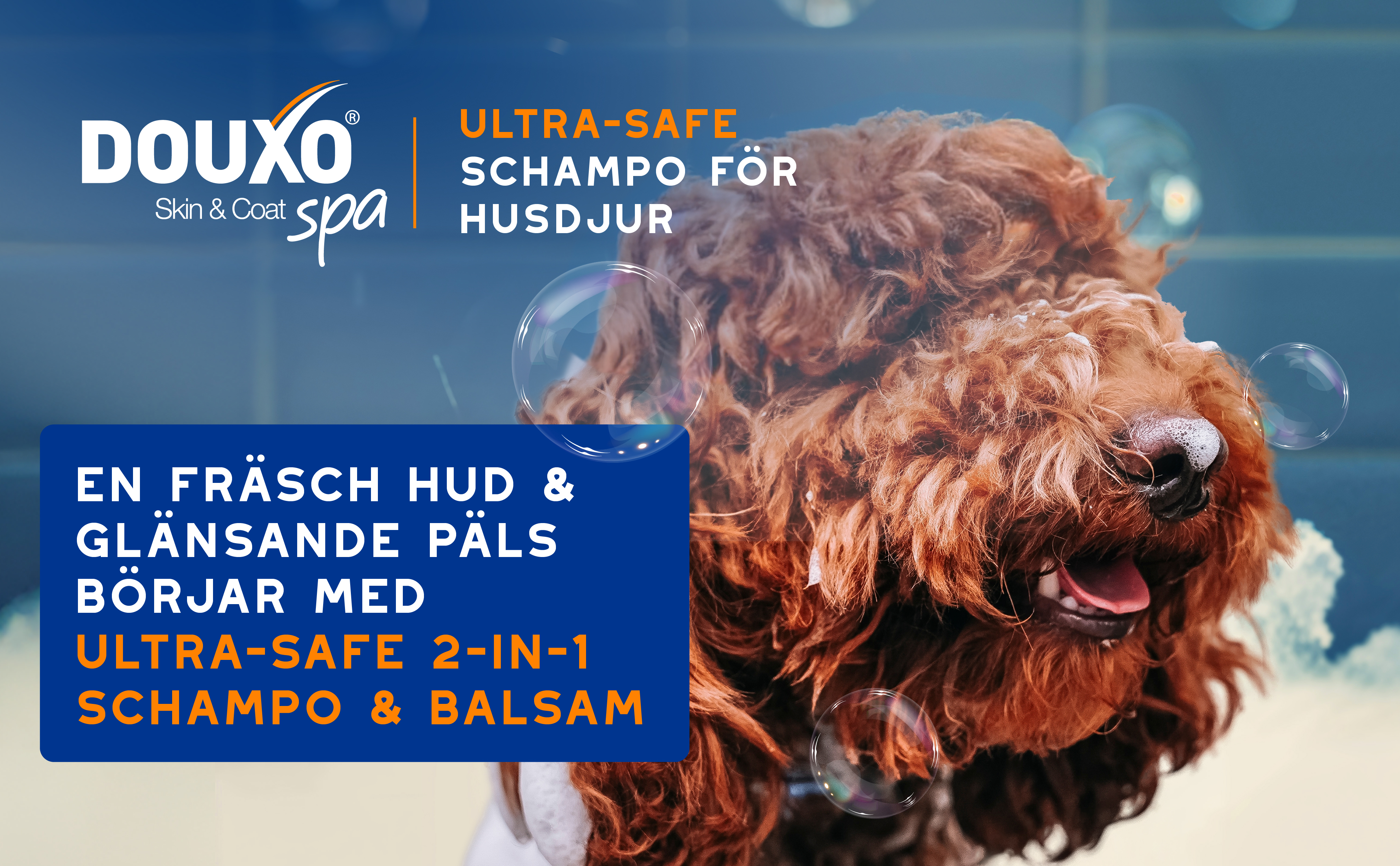 2-in-1-schampo-balsam-3411113154202-SE_BTF_Banner 