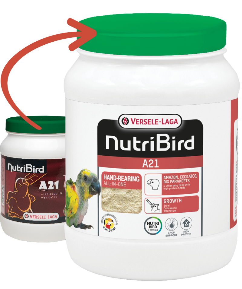 verselelaga_nutribird_a21_handrearing_foodmix_baby