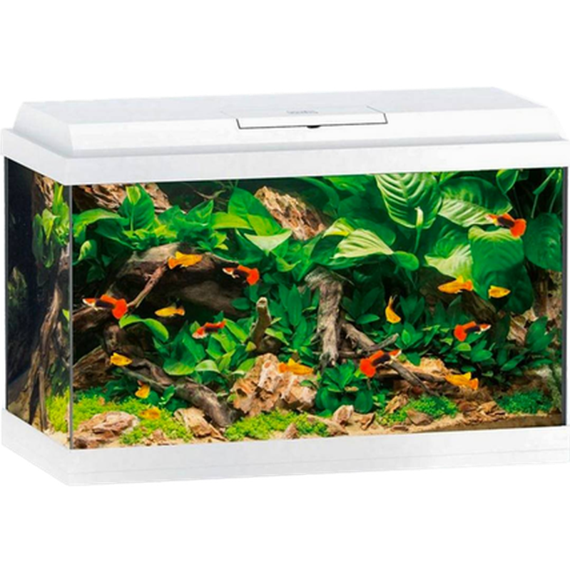 Juwel - Akvarium Primo 70 LED White - Akvaristik - Akvarium - Akvarium & startpaket för akvarium - ZOO.se