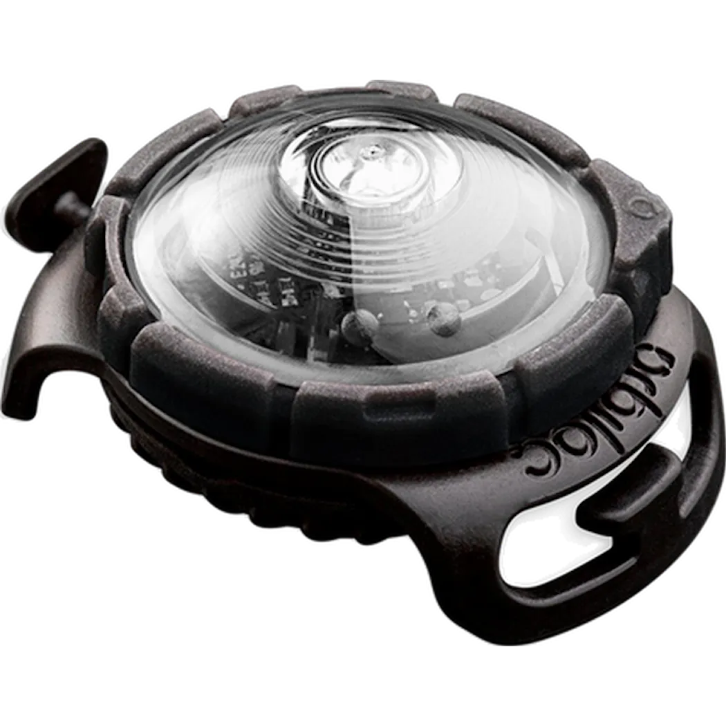 Orbiloc Safety Light Dog Dual LED - With Quick Mount & Adjustable Strap White 5 km