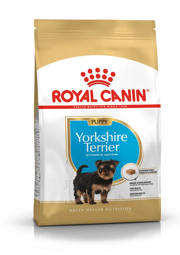 Rase Yorkshire Terrier Junior 1,5 kg