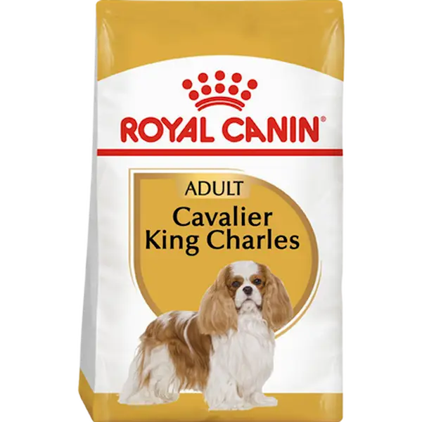 Rase Cavalier King Charles Voksen 7,5 kg