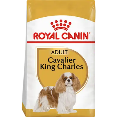 Cavalier King Charles Adult koiran kuivaruoka
