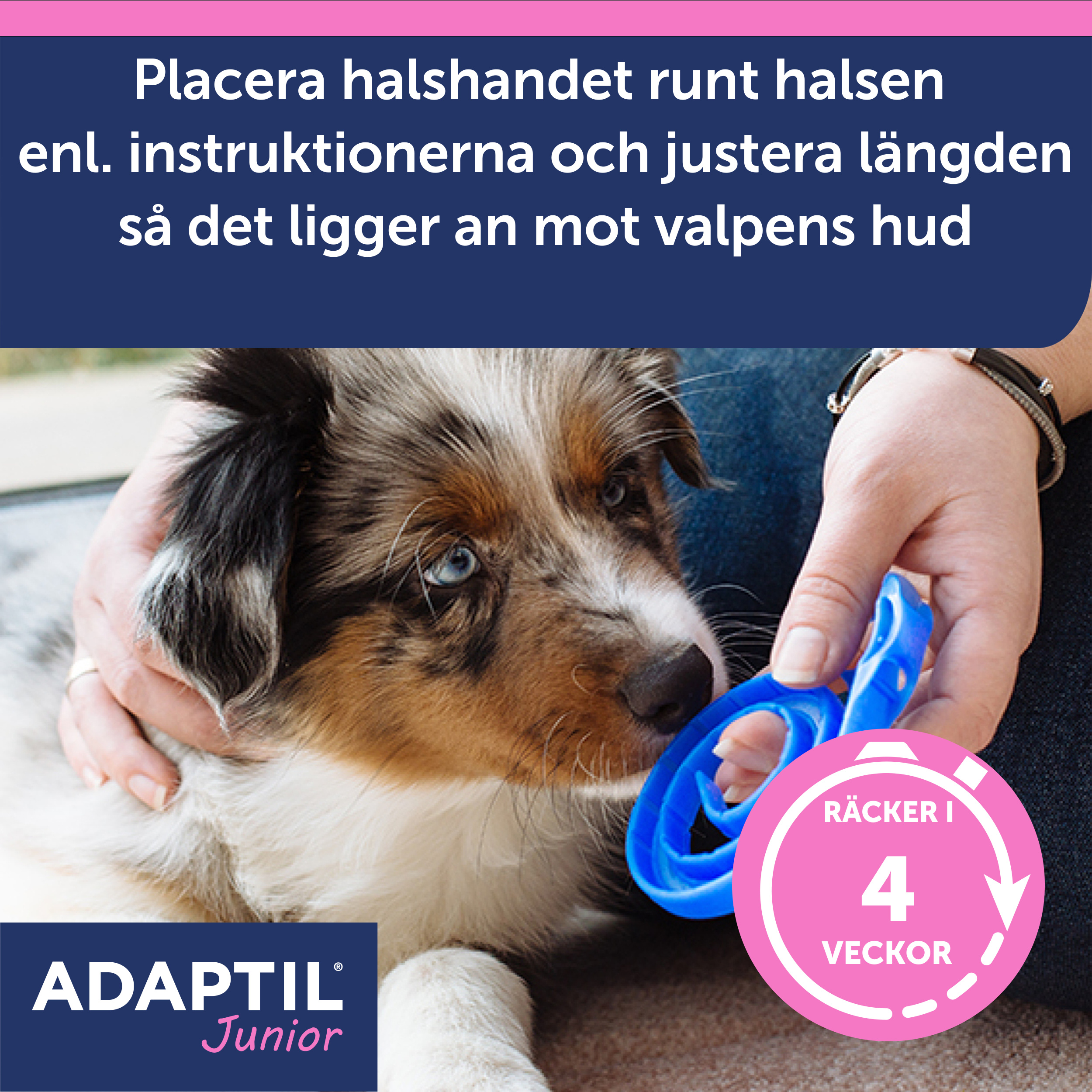 Adaptil Junior halsband_8_3411112940417.jpg