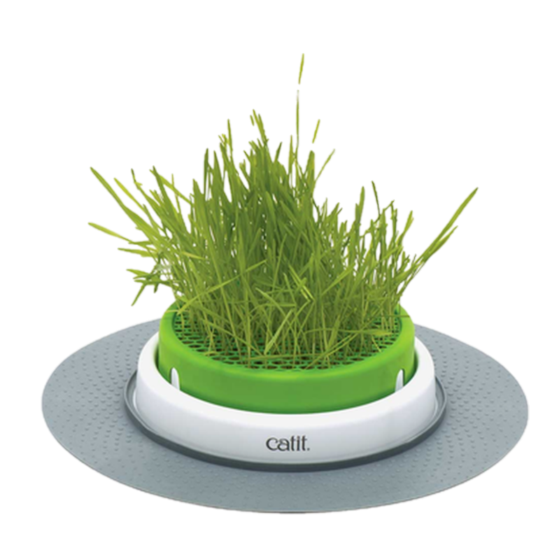Catit - Senses 2.0 Gressplanter grønn 24,5 cm - Katt - Katteleker & viftepinner - Aktiveringsleker - ZOO.no