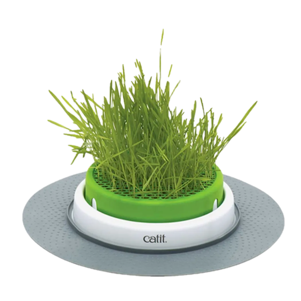 Catit Senses 2.0 Gressplanter grønn 24,5 cm
