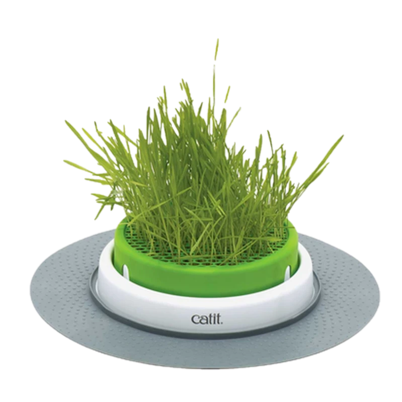Catit