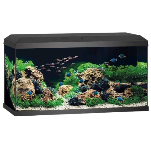 Akvarium Primo 110 2.0 Svart 81X36X43,5 cm 110L - Akvaristen - Akvarium & møbler - Akvarium - Juwel