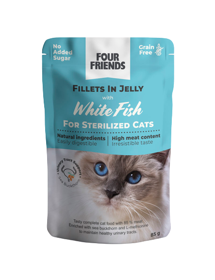 Cat Sterilized White Fish in Jelly Pouch 85g - Katt - Kattfoder & kattmat - Blötmat & våtfoder till katt - FourFriends - ZOO.se