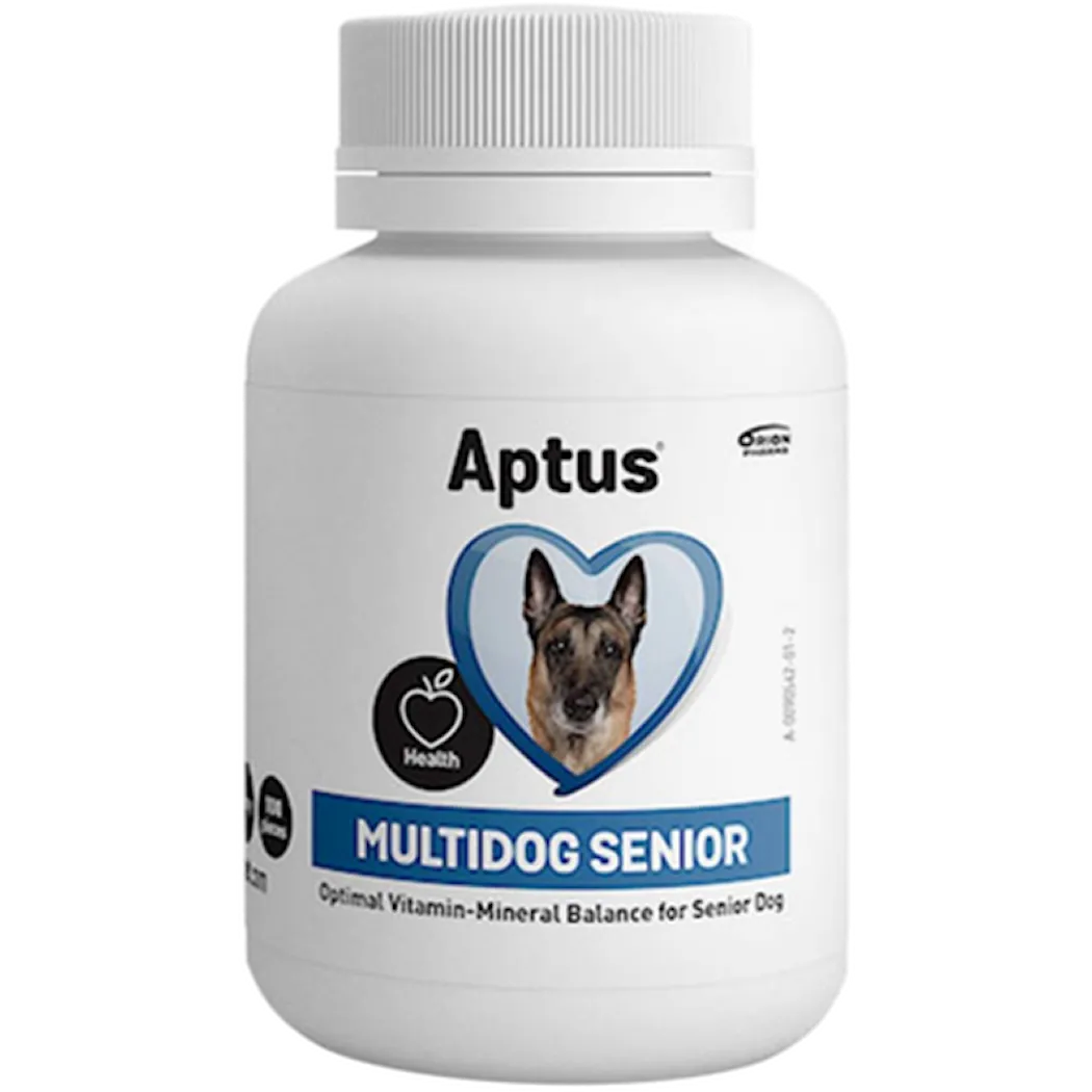 Multidog Senior 100 kpl