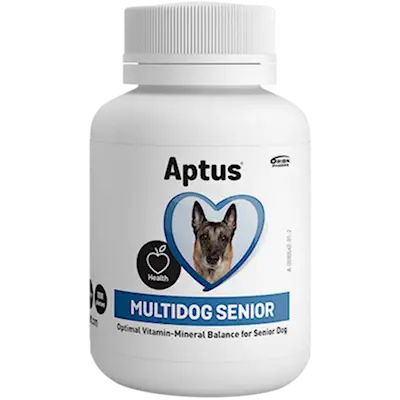 Multidog Senior