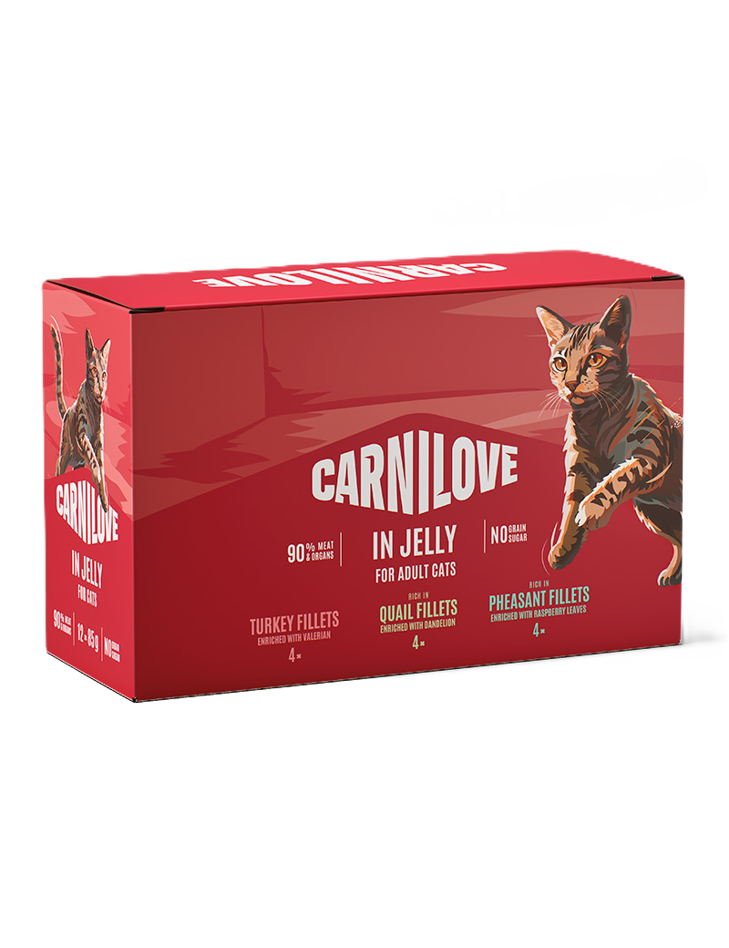 Cat Pouch Jelly Multipack 12x85g