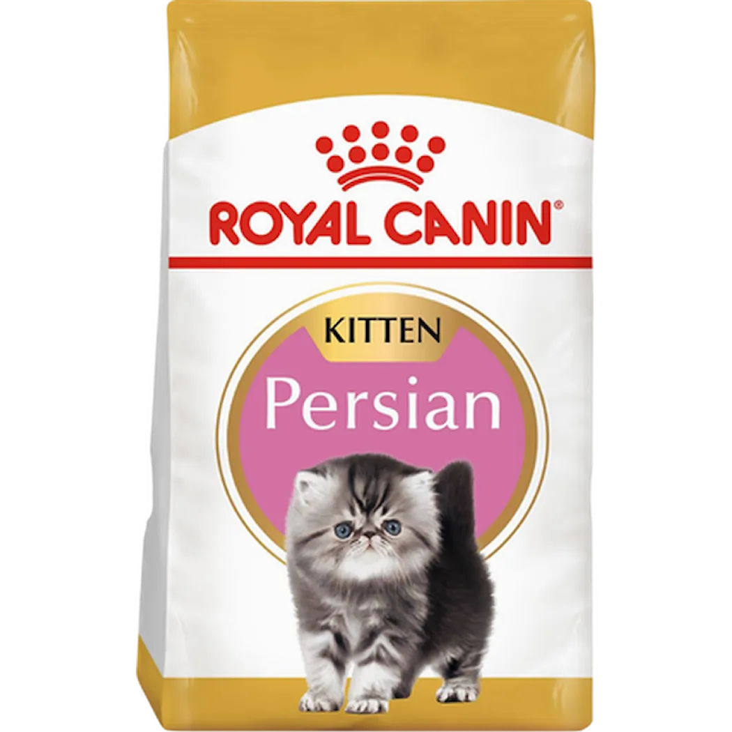 Persian Kitten kissanpennun kuivaruoka