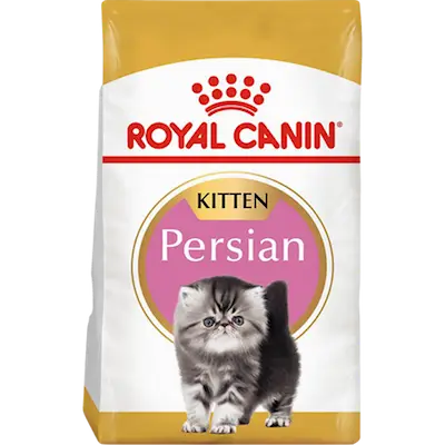 Persian Kitten Tørrfôr til kattunge
