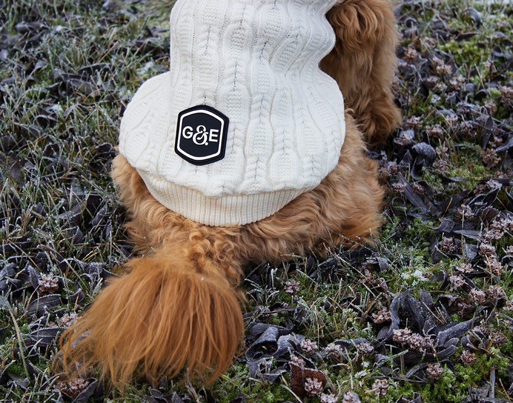 20530, 20531, 20532, 20533, 20534 (2).png