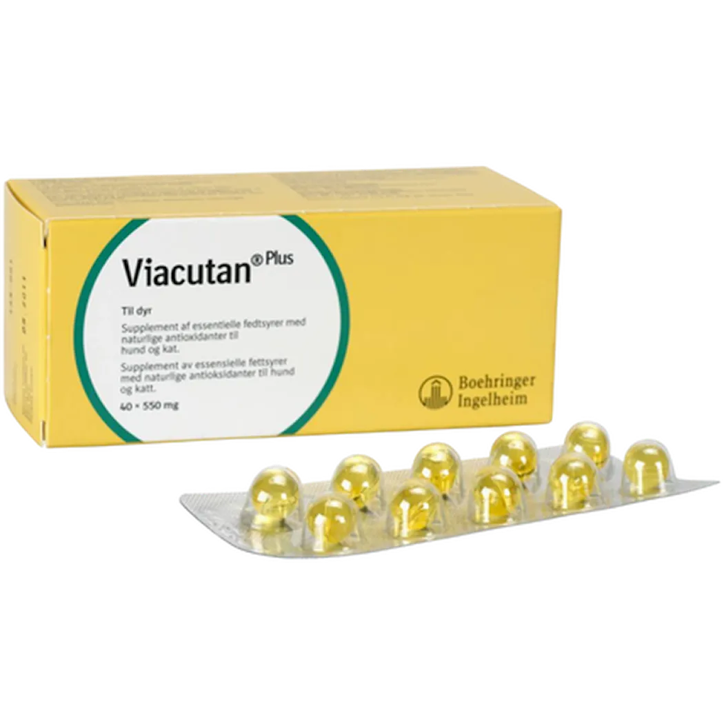 Boehringer Viacutan Plus 40 Capsules 500 mg x 40 kpl