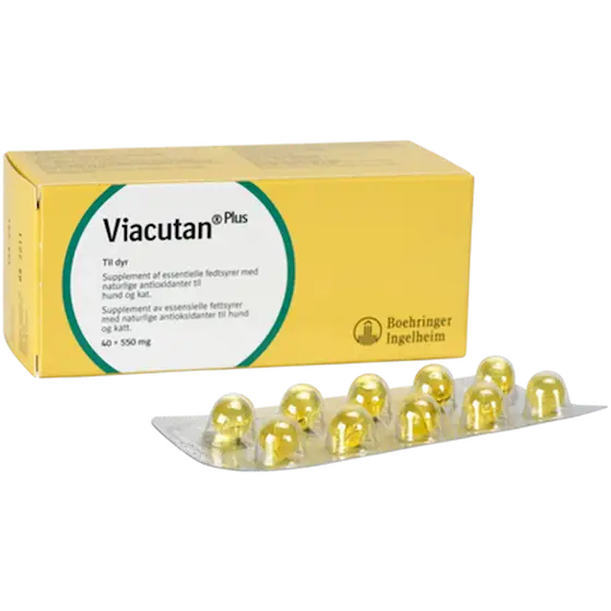 Viacutan Plus 500 mg x 40 st