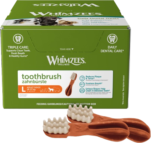 Toothbrush Veggie Large x 30