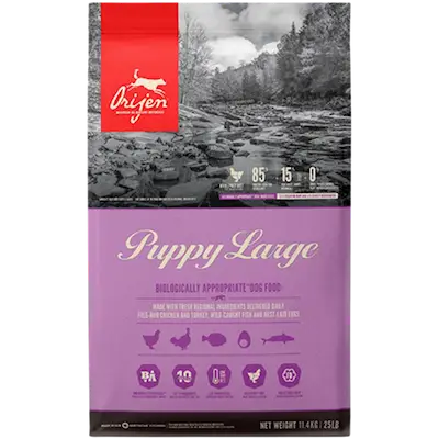 Dog Puppy Large Grain Free - Dry Dog Food