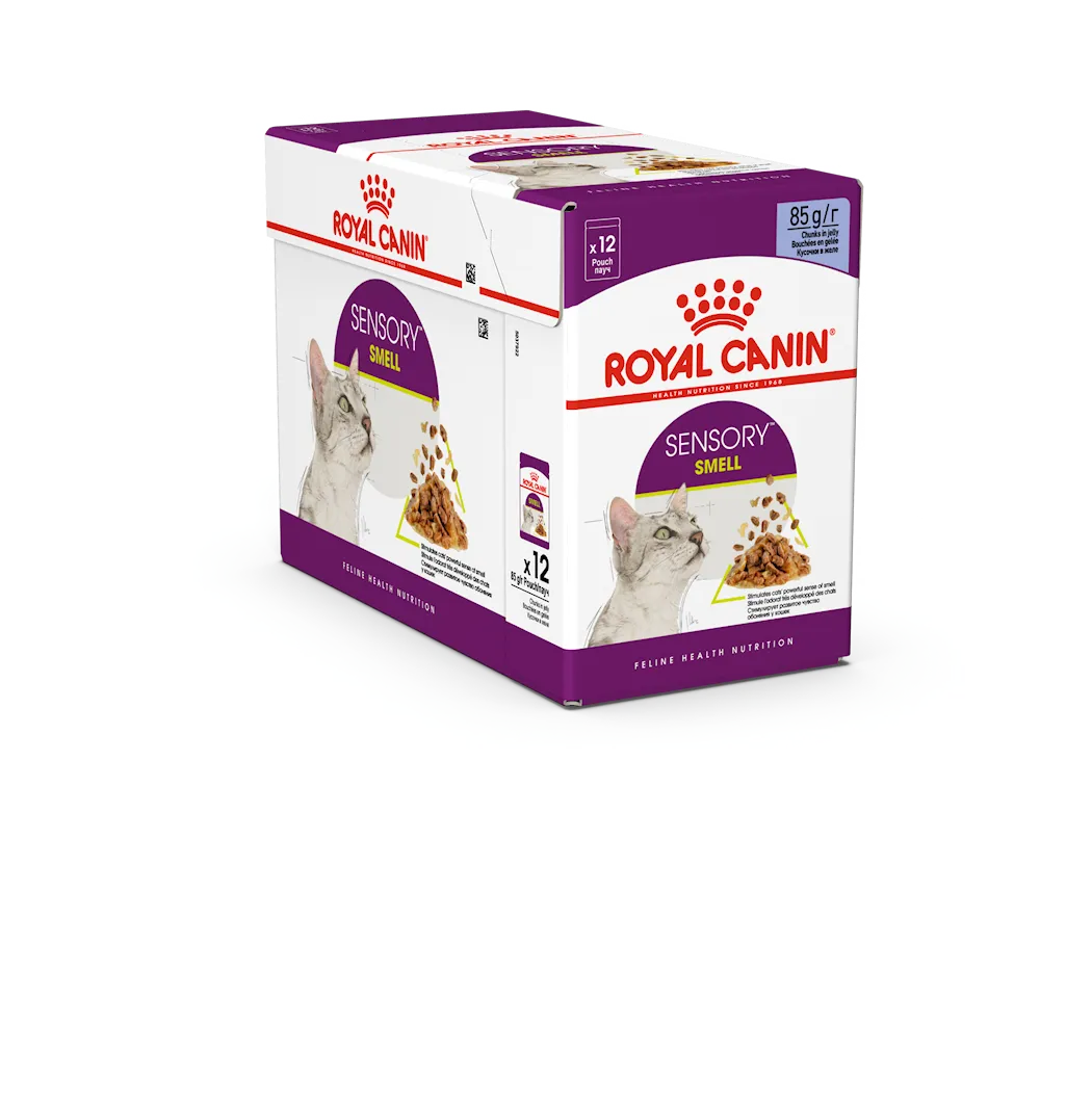 Royal Canin Feline Sensory Smell Gravy 85 g x 12 st - Portionspåsar