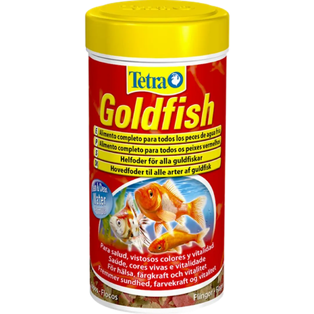 Tetra Goldfish