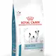 Royal Canin Veterinary Diets Dog Veterinary Diets Derma Skin Care Small Dog tørrfôr til hund