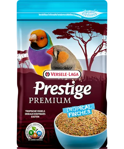 Prestige Premium Tropical Finch (Fink)