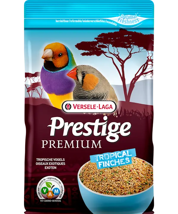 Prestige Premium Tropical Finch (Fink)