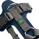 hunter_dog_harness_aalborg_mixed_blue_003.png