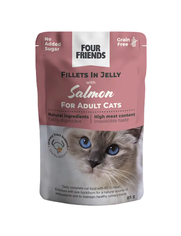Cat Adult Salmon in Jelly Pouch 85g