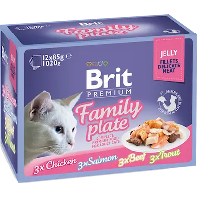 Cat Delicate Fillets in Jelly Family Plate